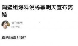 衣哥最新爆料,娱乐圈最新爆料背后的真相